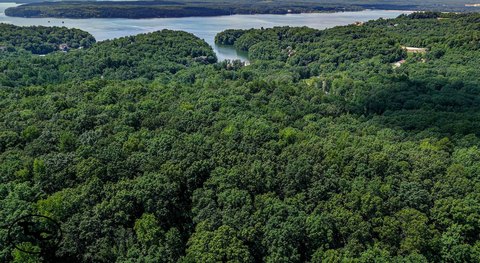 Timber and Hunting Waterfront Tract