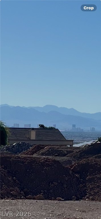 Picture 5