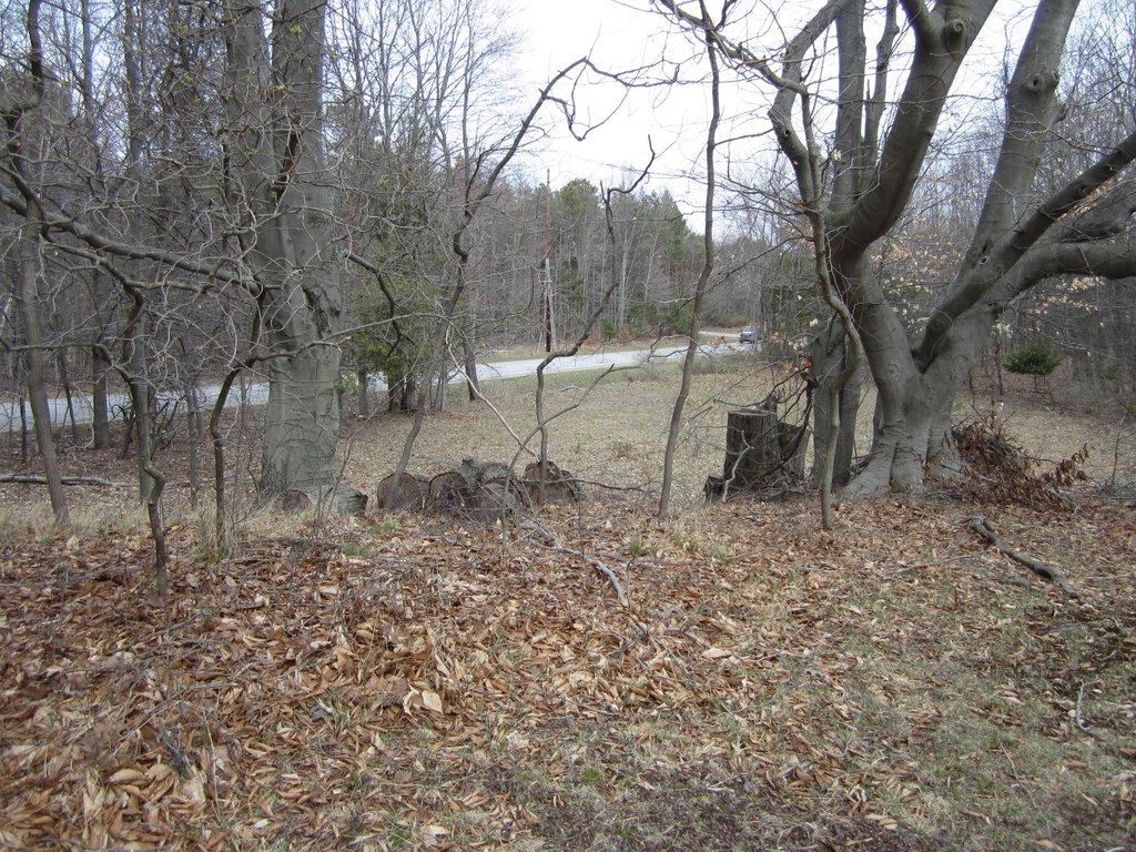 Picture 40