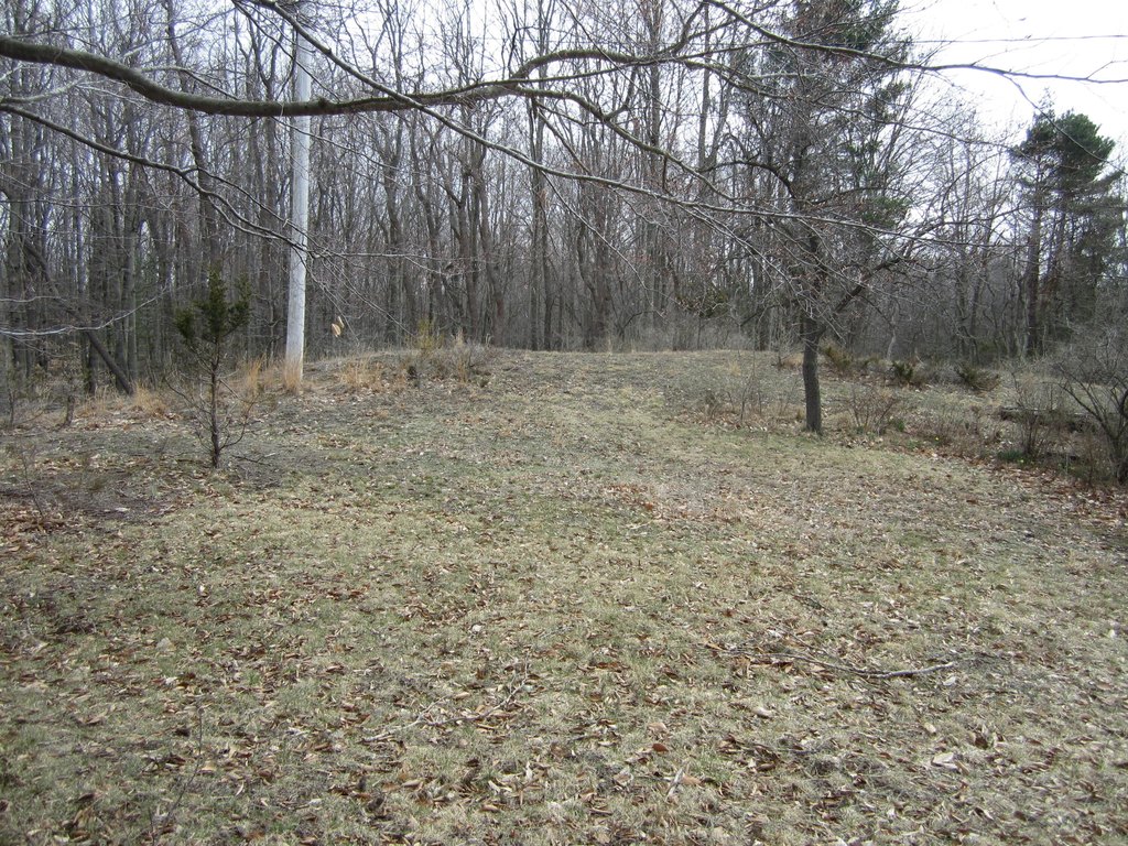 Picture 36