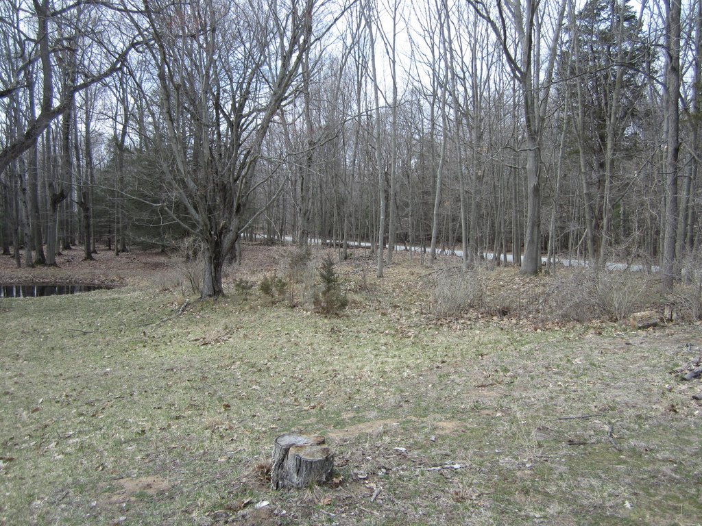 Picture 43