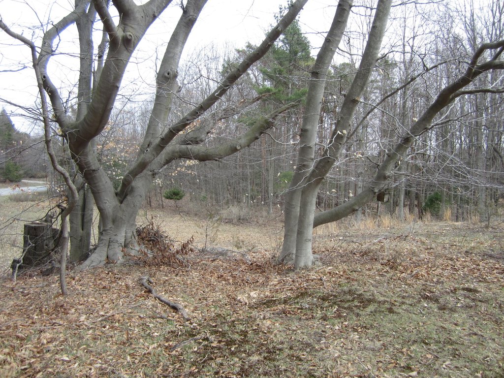 Picture 37