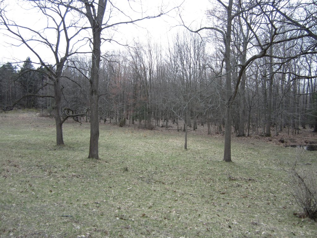 Picture 41