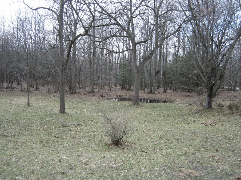 Picture 42