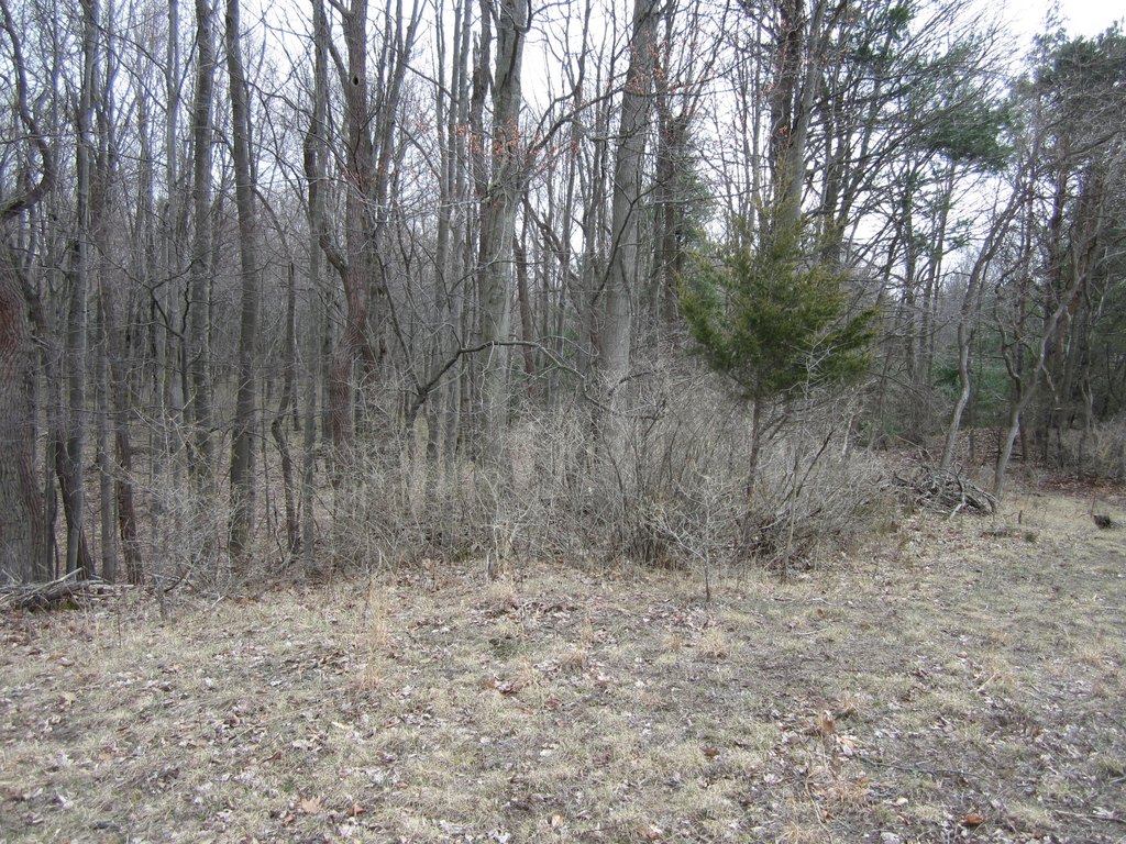 Picture 33