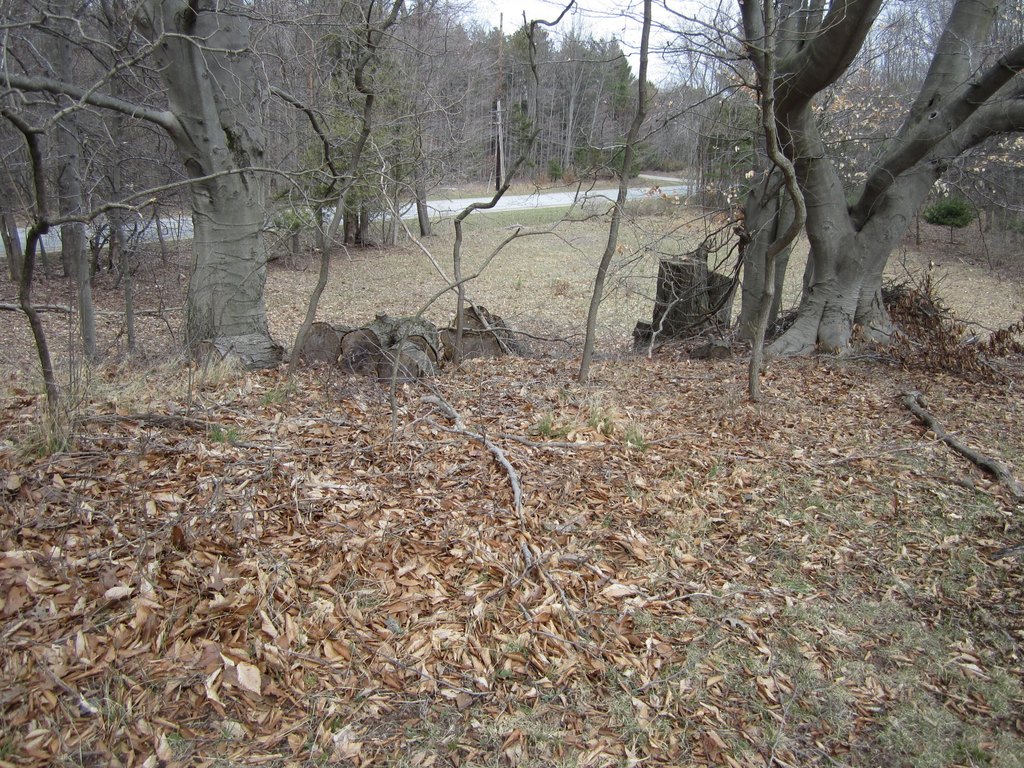 Picture 38