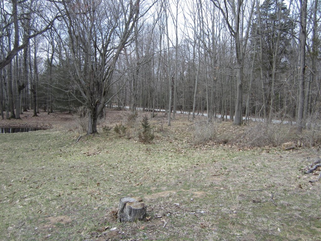 Picture 44