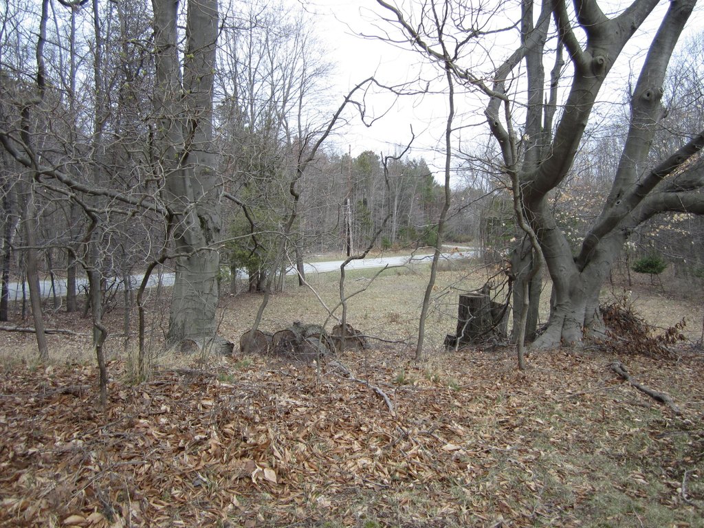 Picture 39