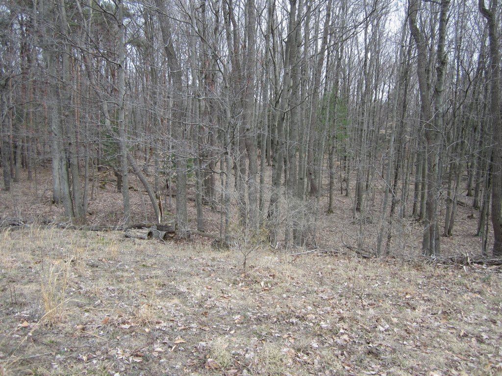 Picture 34