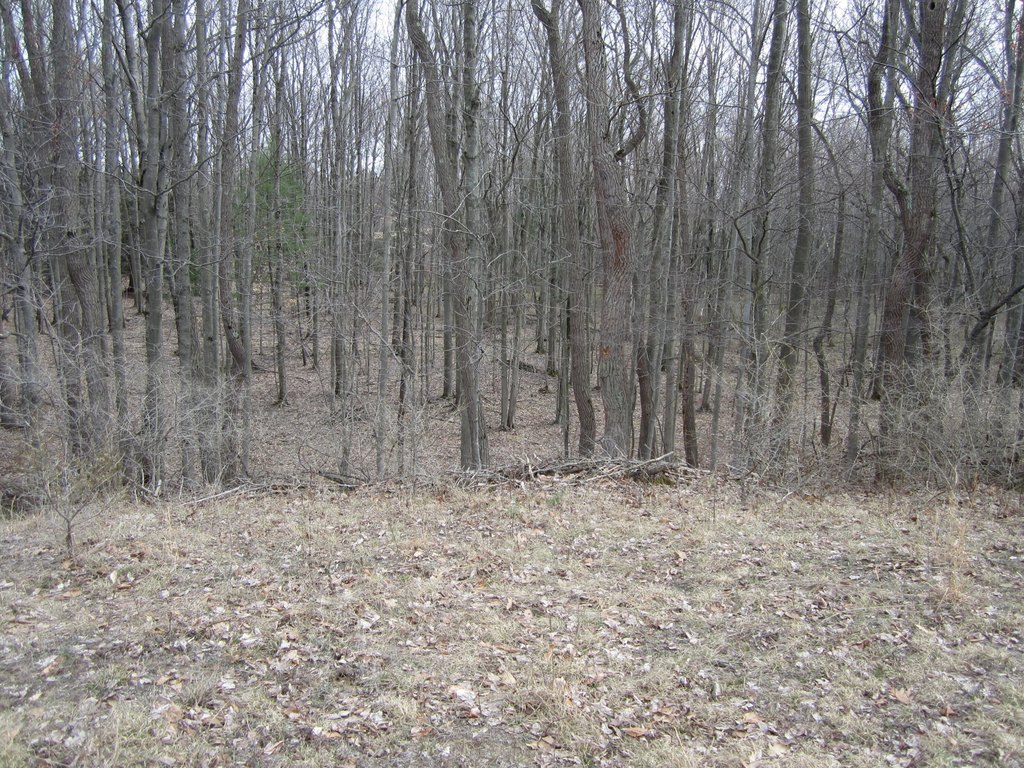Picture 35
