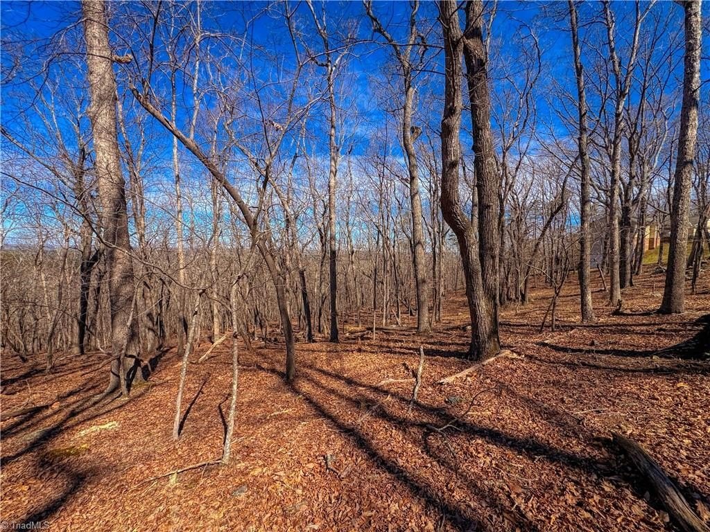 Picture 7