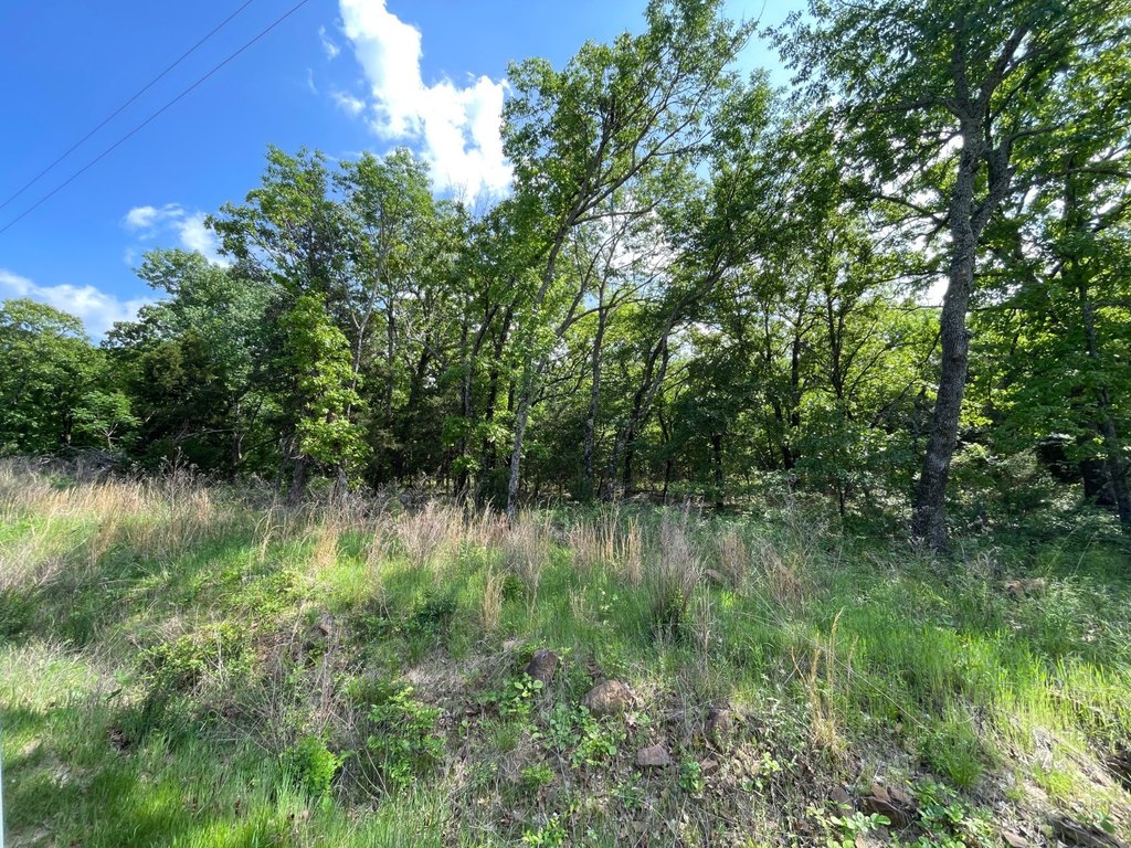 Picture 11
