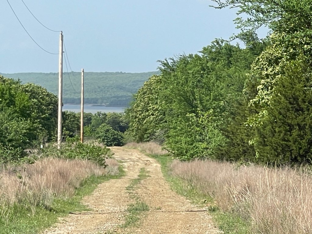 Picture 18