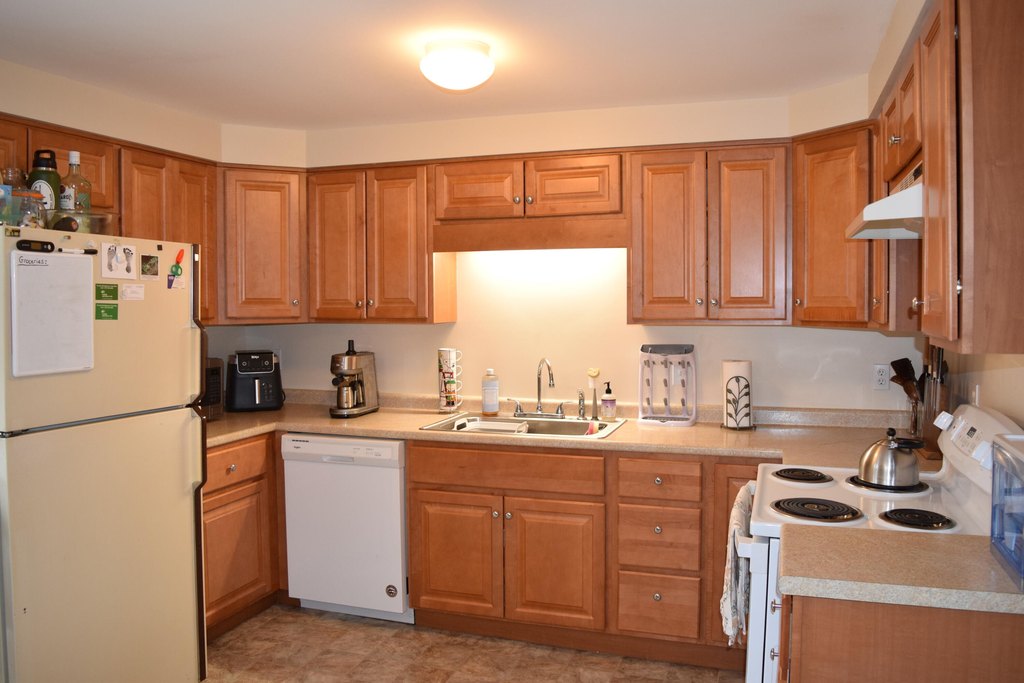 Picture 15