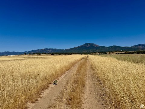 60 Acres of Open Pasture