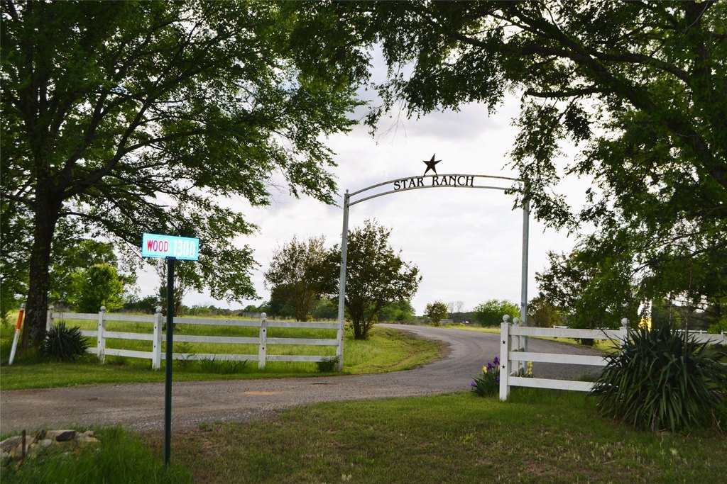 Picture 21