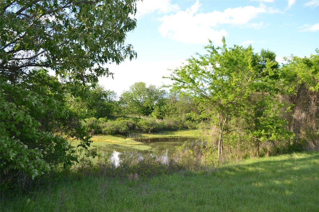Picture 13