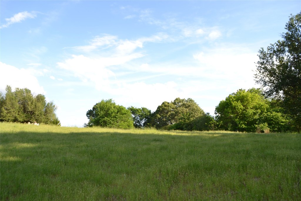 Picture 16