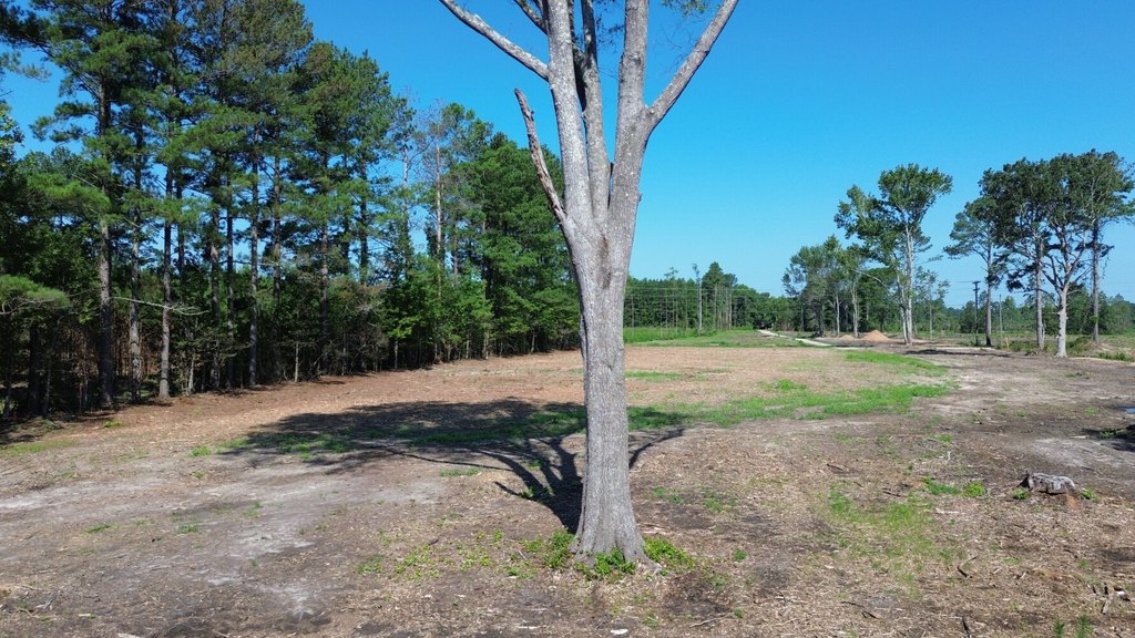 Picture 8