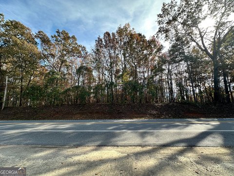 Commercial Land in Clarkesville, GA