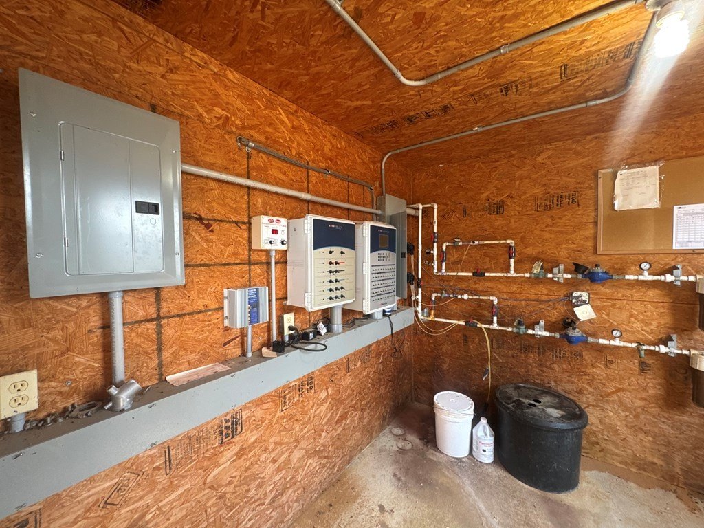 Picture 9