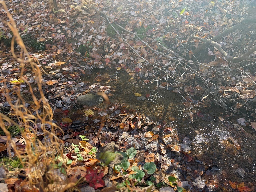 Picture 34