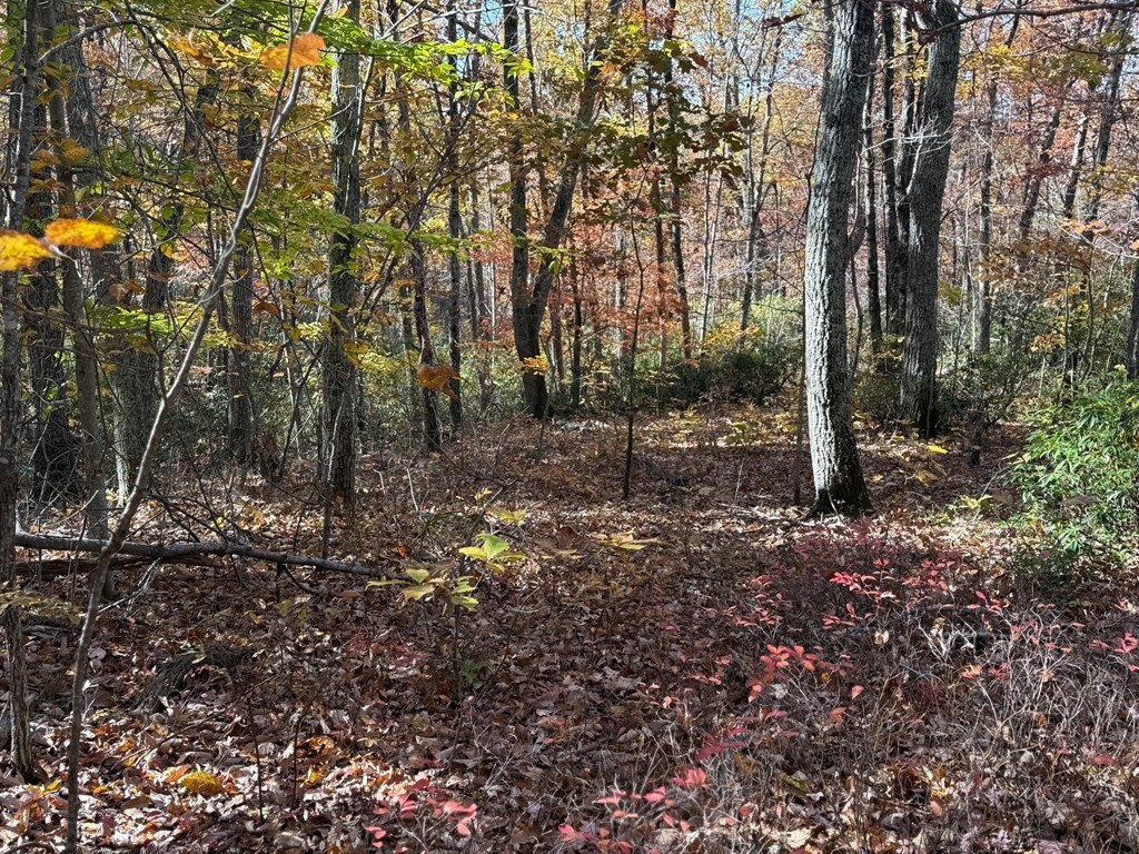 Picture 28