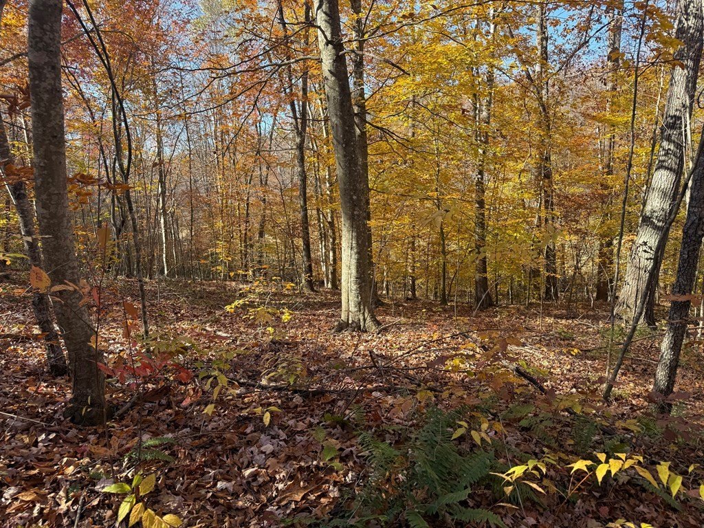 Picture 29