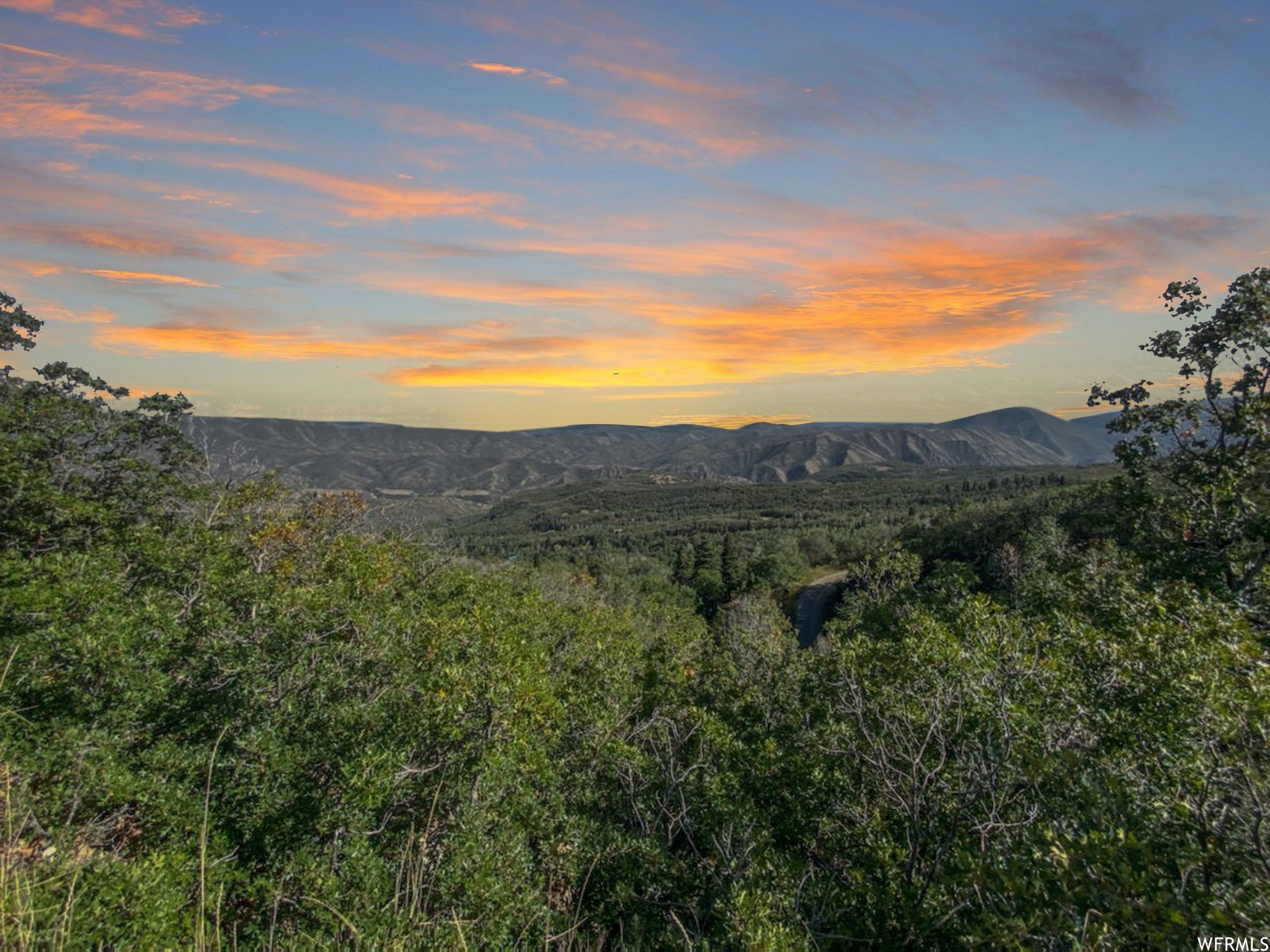 Treed Lot with Breathtaking Views