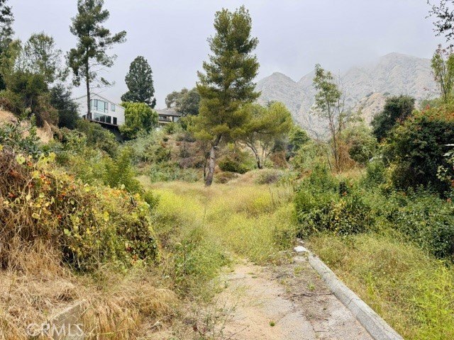 Picture 2