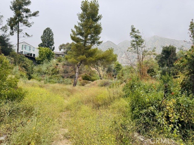 Picture 3