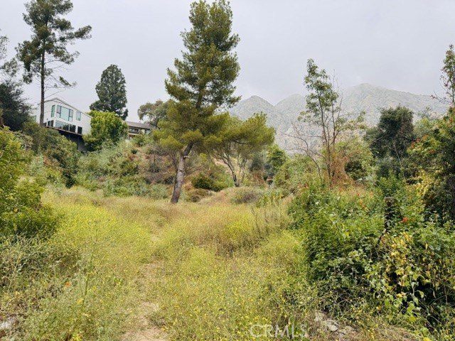 Picture 3