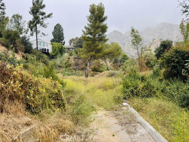 Picture 2