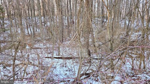 Vacant Lot in Altoona, PA
