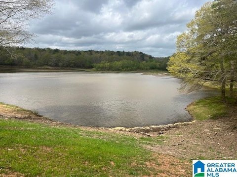 LAND - CRAGFORD, AL