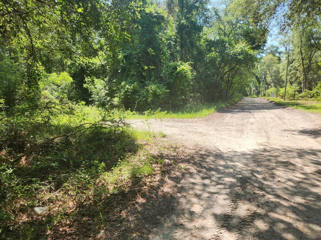 Picture 6