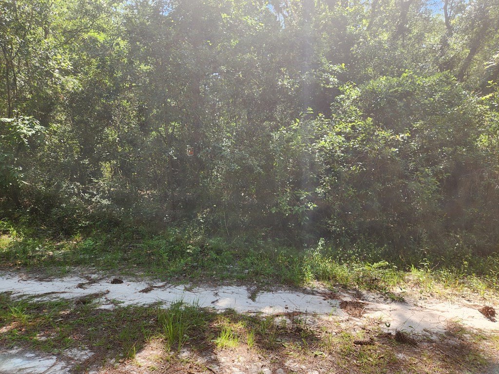 Picture 3