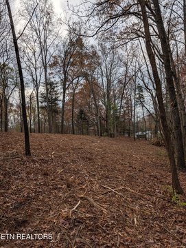 LAND - Strawberry Plains, TN