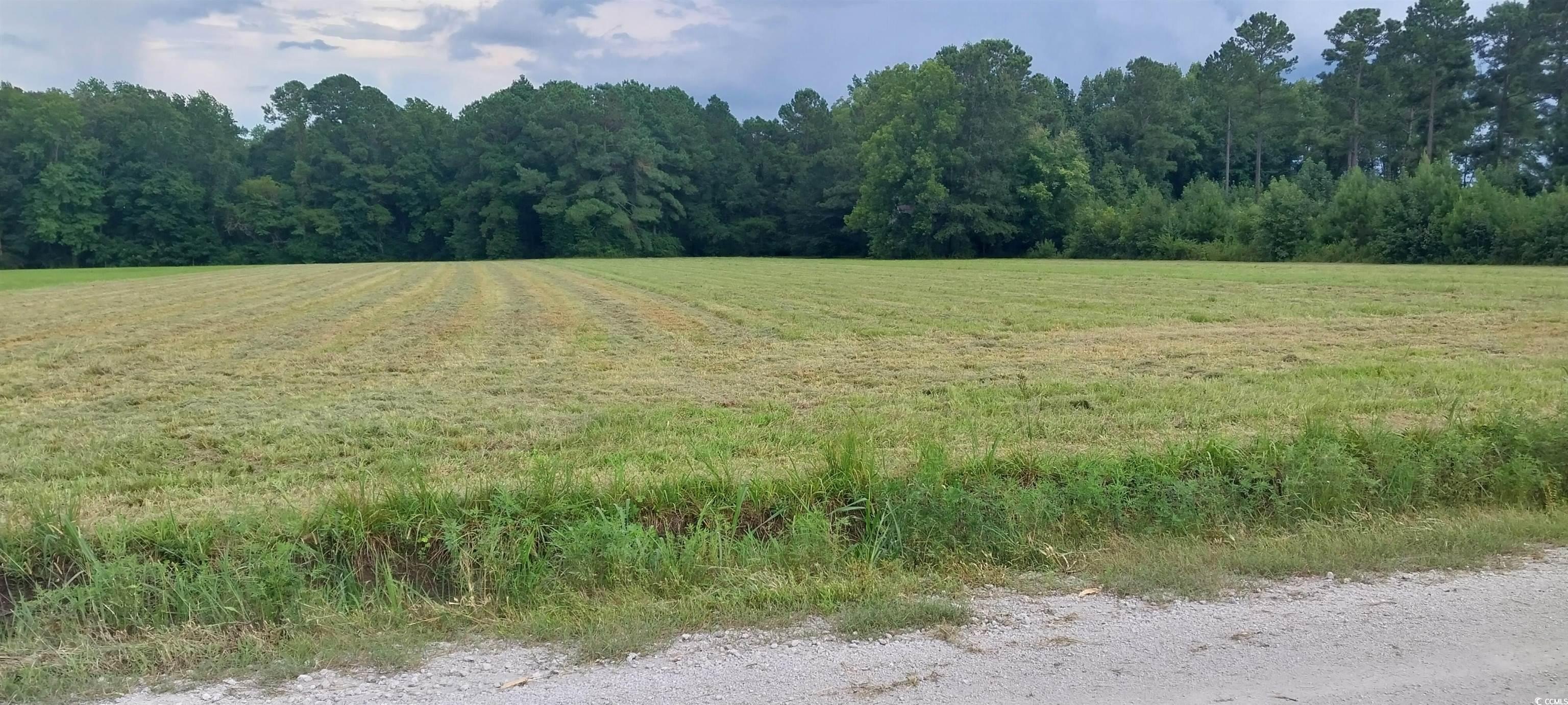 5 Acres with Old Barn