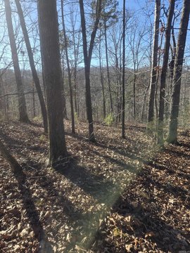 Mountain View Land For Sale