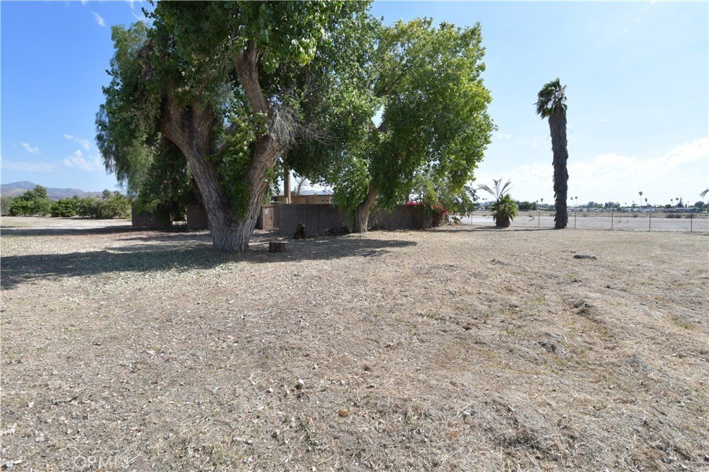 Picture 21