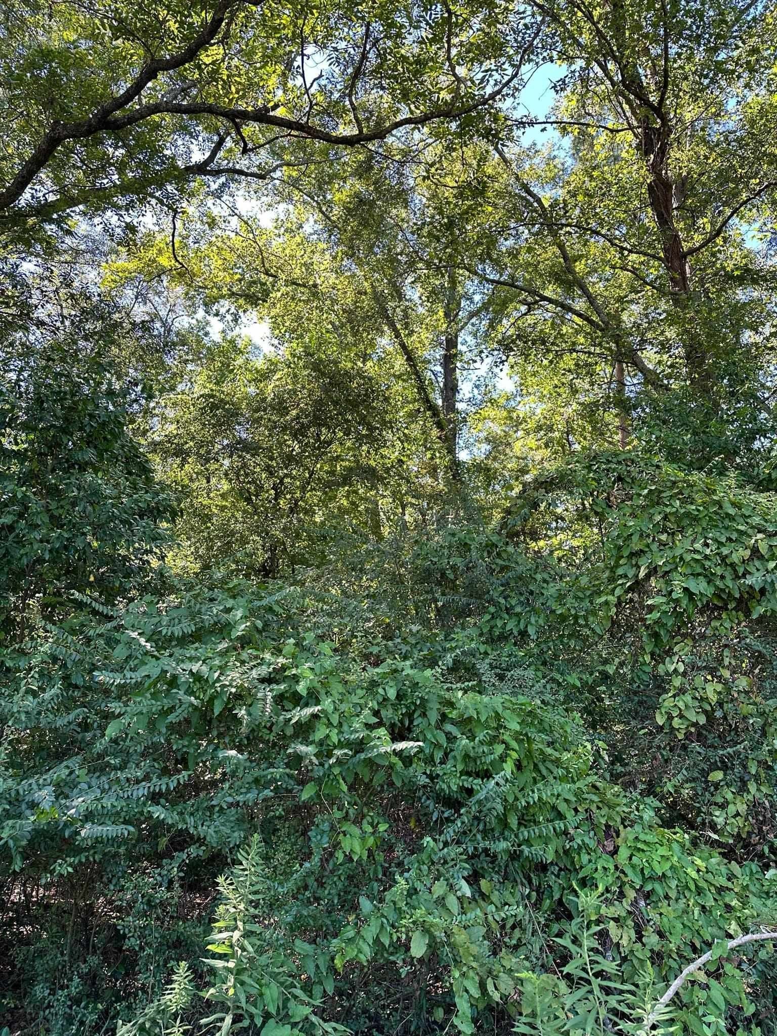 Residential Lots in Jefferson, TX