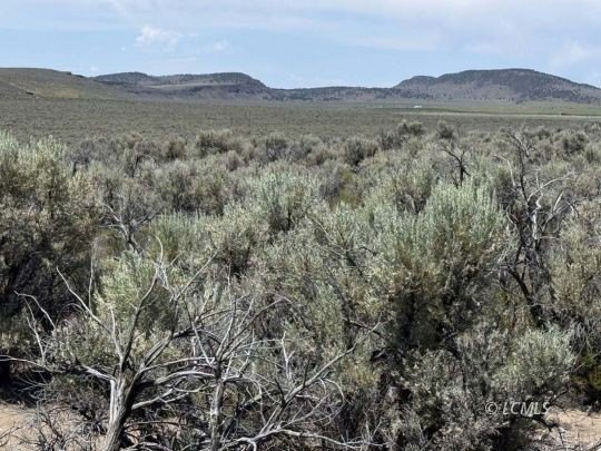 5 Acres in Riley, Oregon