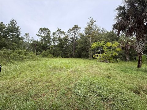 Cleared Land in Homosassa, FL