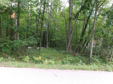 Wooded Residential Lake Lot