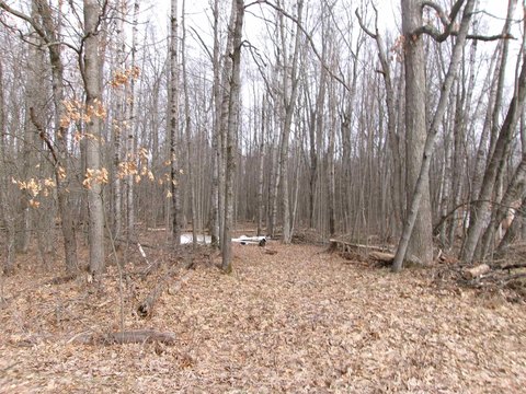 Wooded Residential Lake Lot