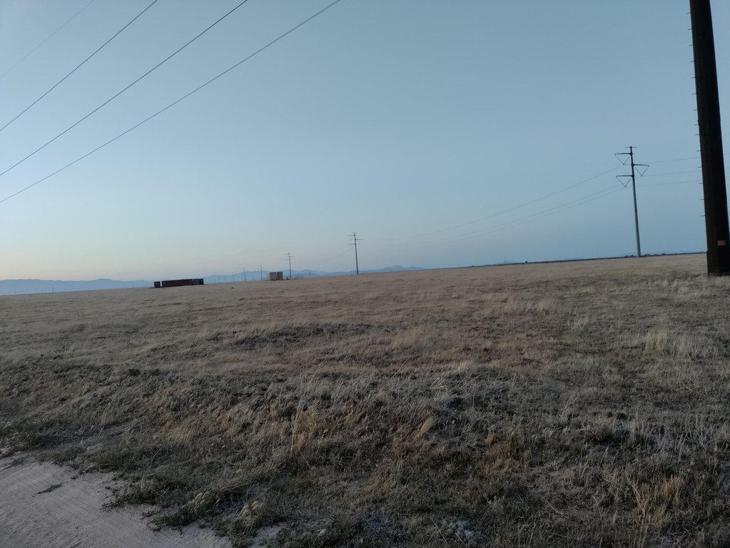 Picture 8