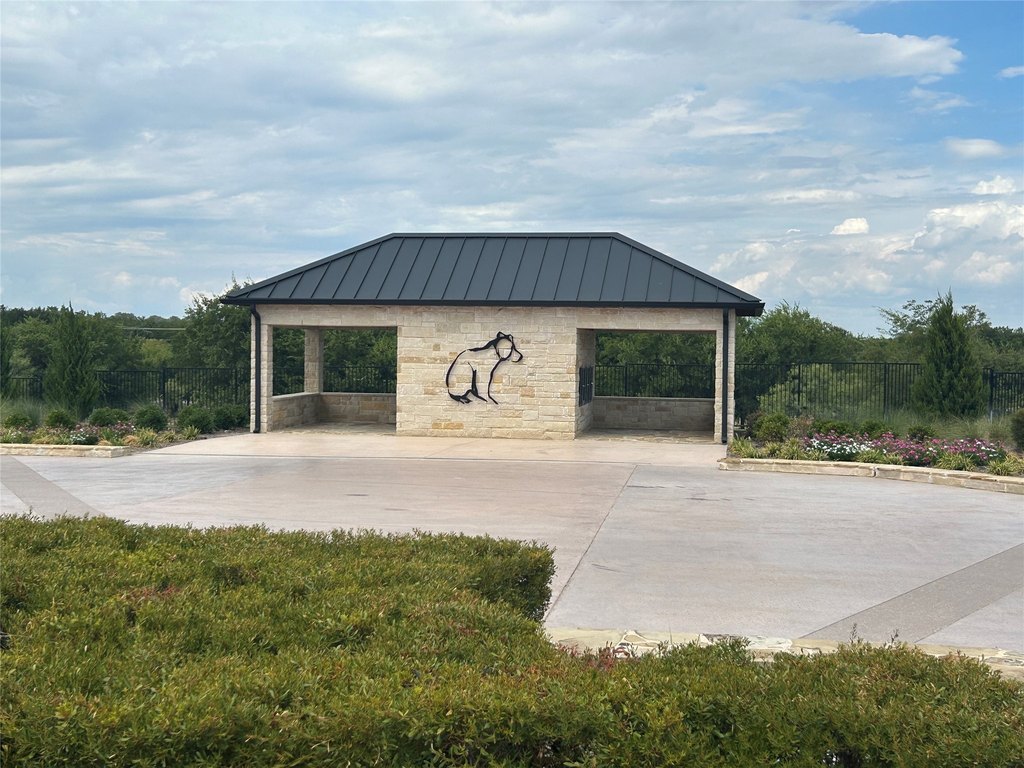 Picture 21