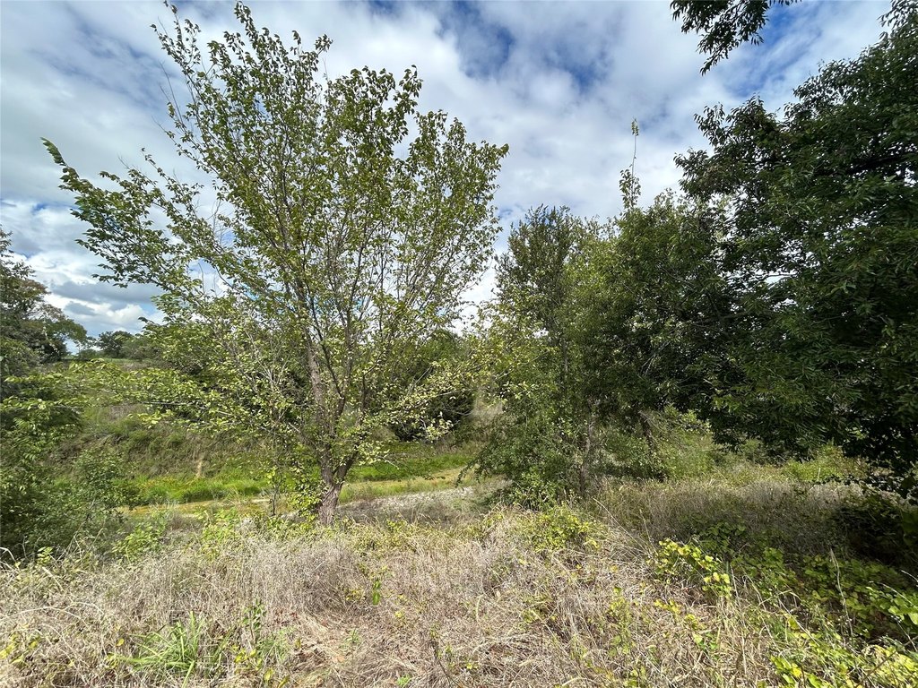 Picture 20