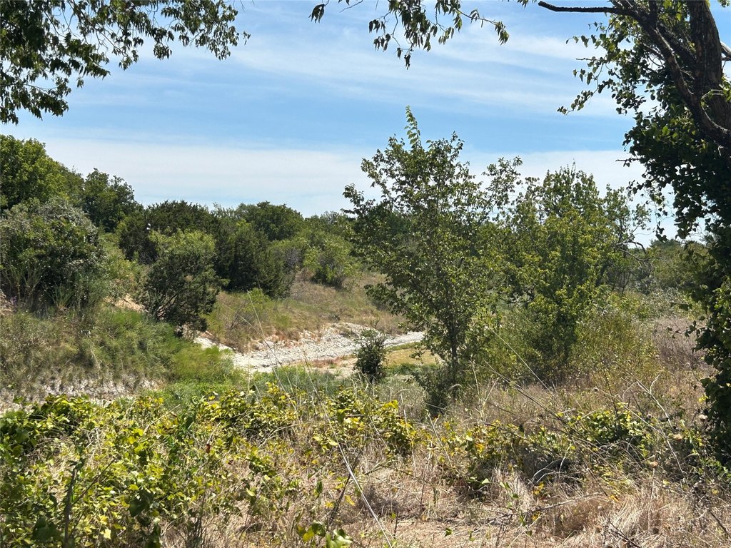 Picture 16